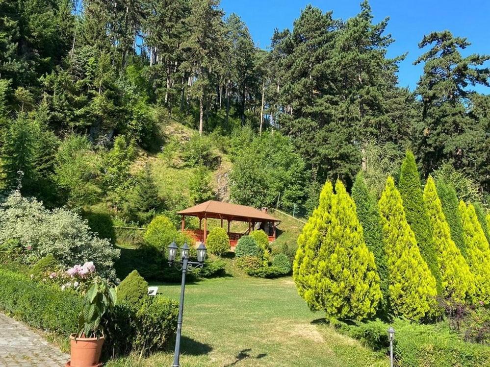 Bellavista Brasov Hotel Sacele Luaran gambar