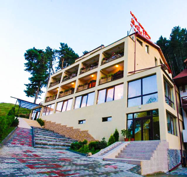 Bellavista Brasov Hotel Sacele Luaran gambar