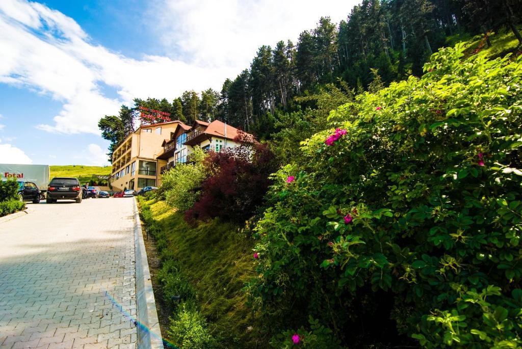 Bellavista Brasov Hotel Sacele Bilik gambar